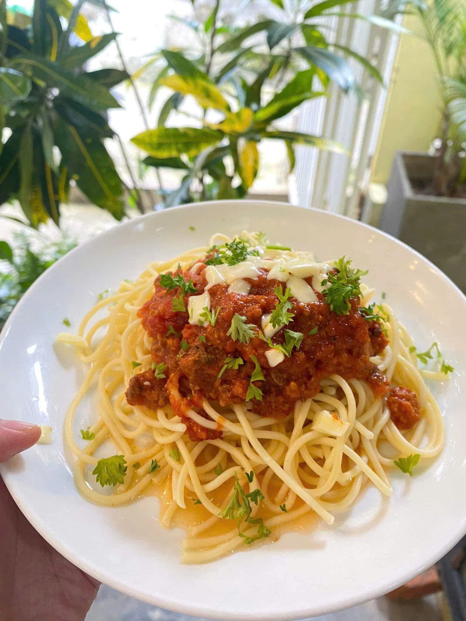 Spaghetti Bolognaise